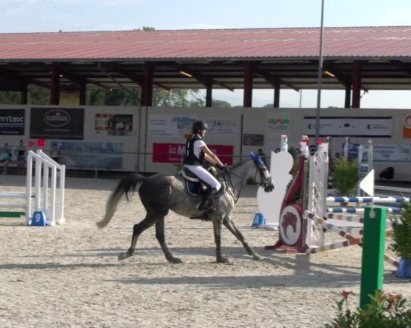 Reitturnier Dompierre 2023