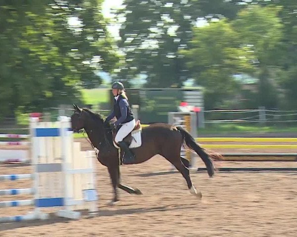Reitturnier Demantsfürth/Mfr. 2023