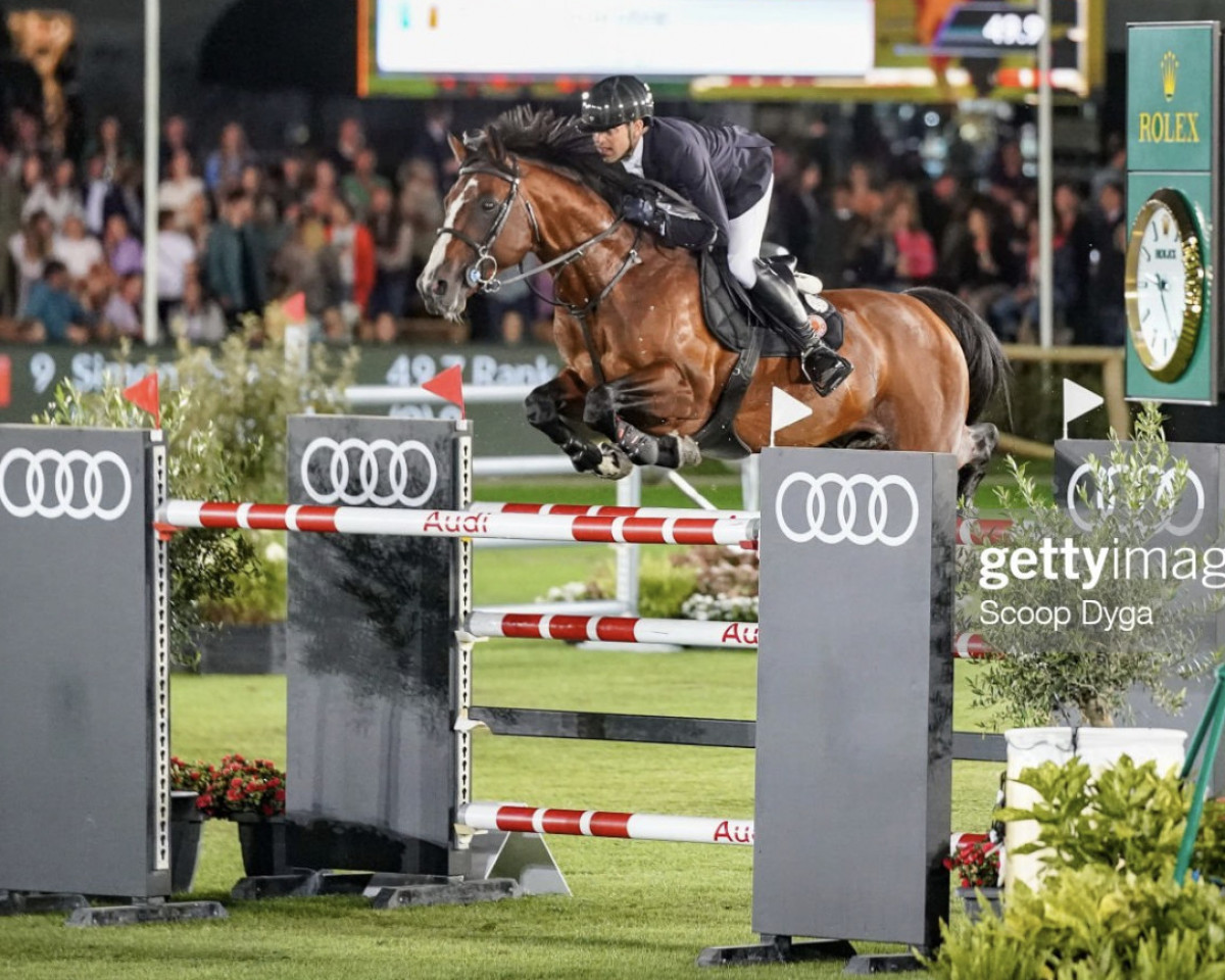 jumper Tinka's Hero Z (Zangersheide riding horse, 2011, from Tinka's Boy)