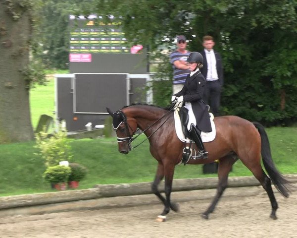 Reitturnier Datteln 2023