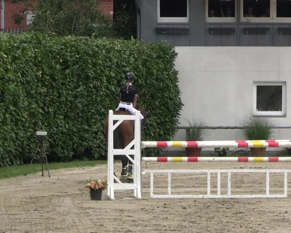 Reitturnier Datteln 2023
