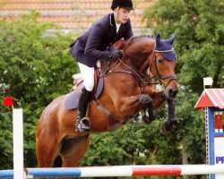 jumper Aringarosa (Hanoverian, 2002, from Acorado I)