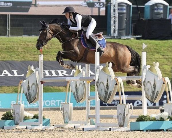 jumper Blossom's Billy Heinz (anglo european sporthorse, 2017, from Billy Mexico)