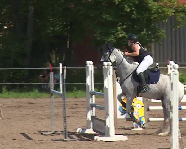Reitturnier Demantsfürth/Mfr. 2023