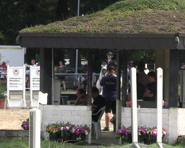 Reitturnier Datteln 2023