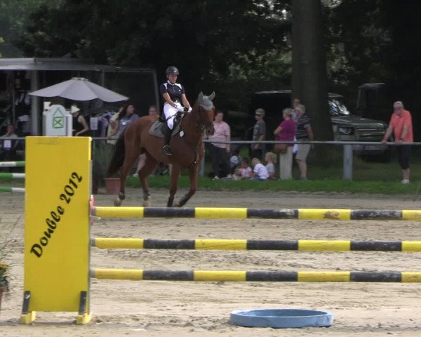 Reitturnier Datteln 2023