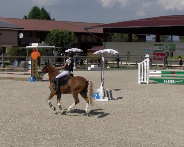 Reitturnier Dompierre 2023