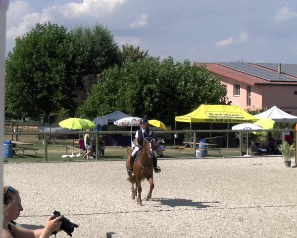 Reitturnier Dompierre 2023