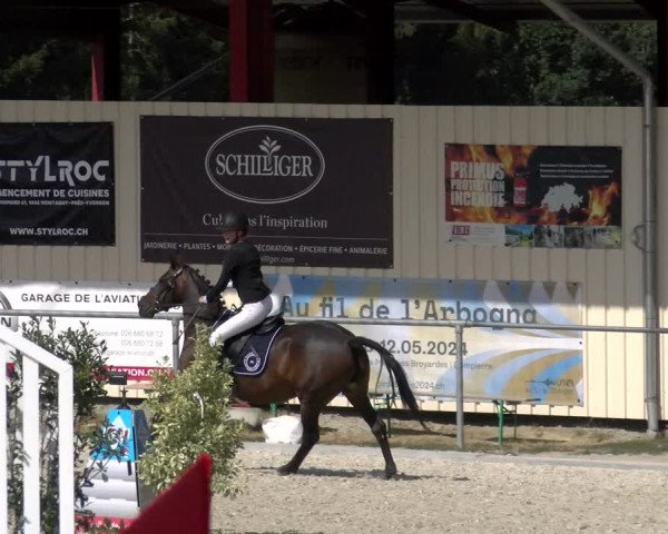 Reitturnier Dompierre 2023
