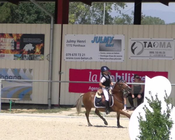 Reitturnier Dompierre 2023