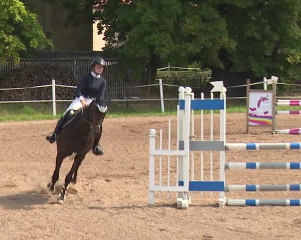 Reitturnier Demantsfürth/Mfr. 2023