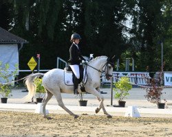 dressage horse Nitty Gritty Highflyer (German Riding Pony, 2006, from Namajan)