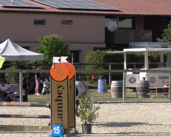 Reitturnier Dompierre 2023