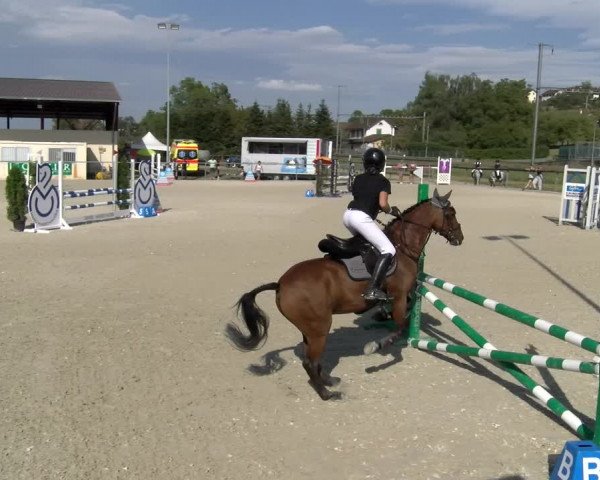 Reitturnier Dompierre 2023