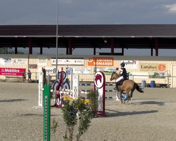 Reitturnier Dompierre 2023