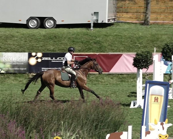 Reitturnier Aadorf 2023