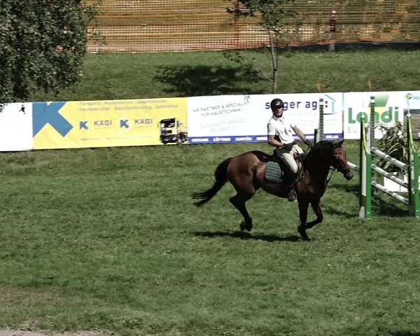 Reitturnier Aadorf 2023