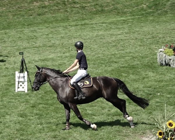 Reitturnier Aadorf 2023