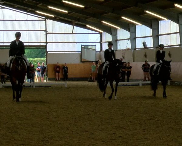 Reitturnier Datteln 2023