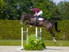 jumper Cavallero de La Chapelle Z (Zangersheide riding horse, 2016, from Chacco Rouge)