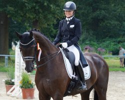 dressage horse De Funès (Hanoverian, 2016, from Dante Weltino Old)