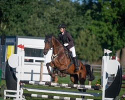 dressage horse Ramina 193 (Westfale, 2008, from Rubitano)