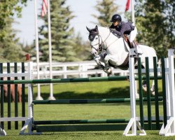 jumper La Vita Bella Z (Zangersheide riding horse, 2011, from Lordanos)