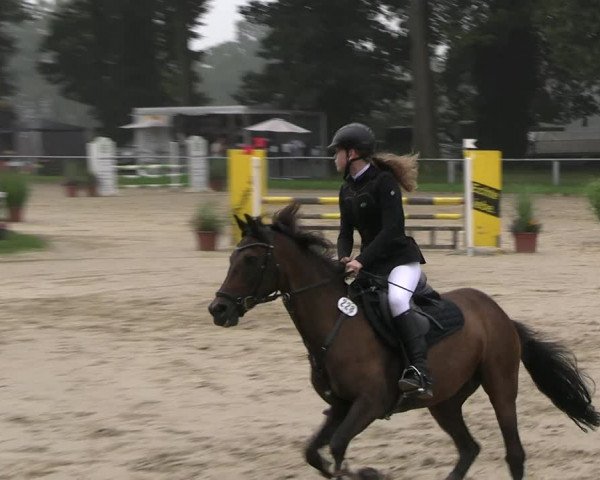 Reitturnier Datteln 2023