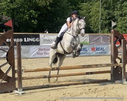 jumper Cora 62 (German Sport Horse, 2016)