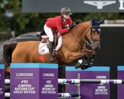 broodmare Attoucha (Belgian Warmblood, 2012, from Aganix du Seigneur)