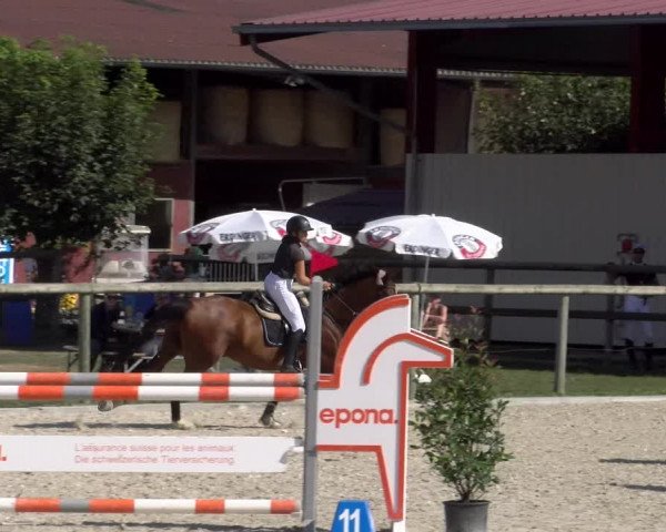 Reitturnier Dompierre 2023