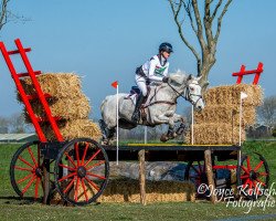 Springpferd Shannon's Hero (Connemara-Pony, 2014, von Shannon Prince)