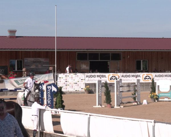 Reitturnier Ranshofen - Braunau am Inn 2023