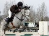 jumper Nabuco du Breuil (French Pony, 2001, from I des Cartes)