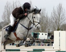 Springpferd Nabuco du Breuil (Französisches Pony, 2001, von I des Cartes)