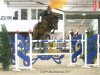 jumper Eldorado S (Hanoverian, 2002, from Escudo II)