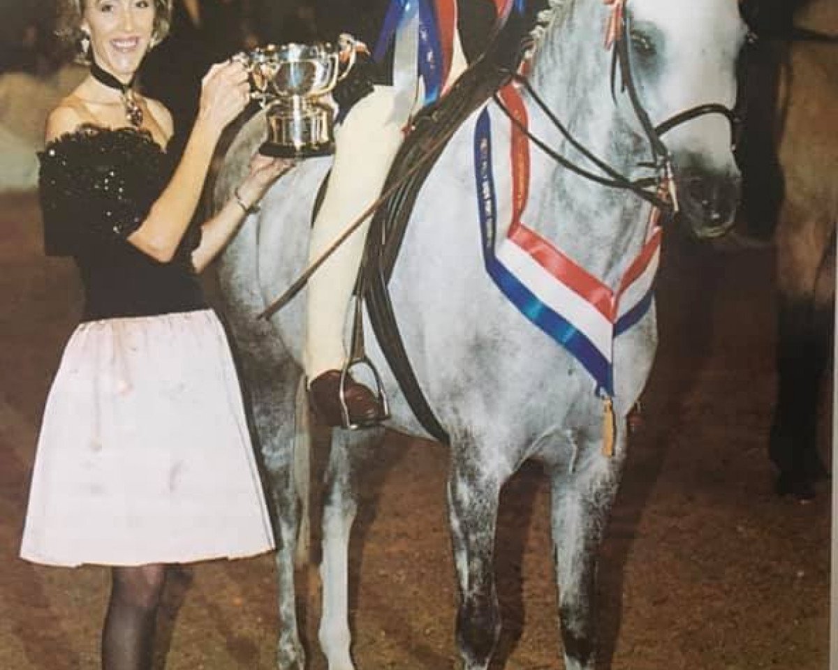 Pferd Ainthorpe Morning Surprise (British Riding Pony, 1996, von Willowbay Symphony)