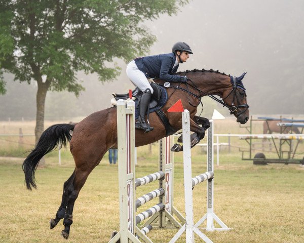 Springpferd Golea 6 (Trakehner, 2018, von Lebenstraum)