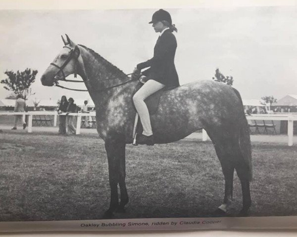 Zuchtstute Oakley Bubbling Simone (British Riding Pony, 1971, von Bwlch Hill Wind)