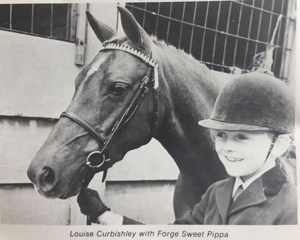 Pferd Forge Sweet Pippa (British Riding Pony, 1971, von Rosevean Pippin)