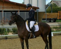 jumper Itana (German Sport Horse, 2016, from Ituango xx)