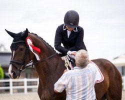 dressage horse Pretoria (Westphalian, 2016, from Castelan II Pkz)