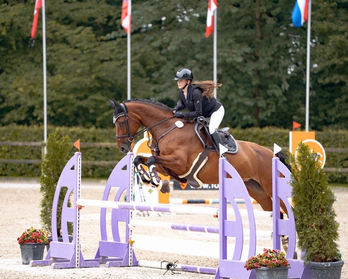 Springpferd Calona 2 (Oldenburger, 2009, von Cascall)