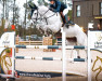 jumper Cornezina (Oldenburg show jumper, 2015, from Cornet du Lys)