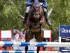 jumper Somersby Gold (Zangersheide riding horse, 2016, from Solid Gold Z)