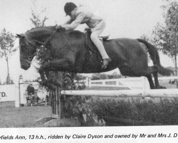 Pferd Lowfields Ann (Welsh Pony (Sek.B), 1973, von Vyrnwy Challenge)