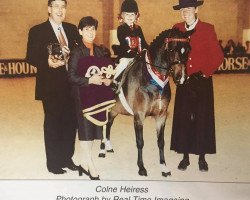 Pferd Colne Heiress (Welsh Pony (Sek.B), 1992, von Orielton Aristocrat)