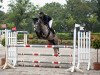 jumper Dyami 4 (German Riding Pony, 2017, from Del Piero 25)