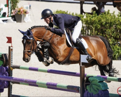 Springpferd Herald van't Ruytershof (Belgisches Warmblut, 2007, von Lord Z)