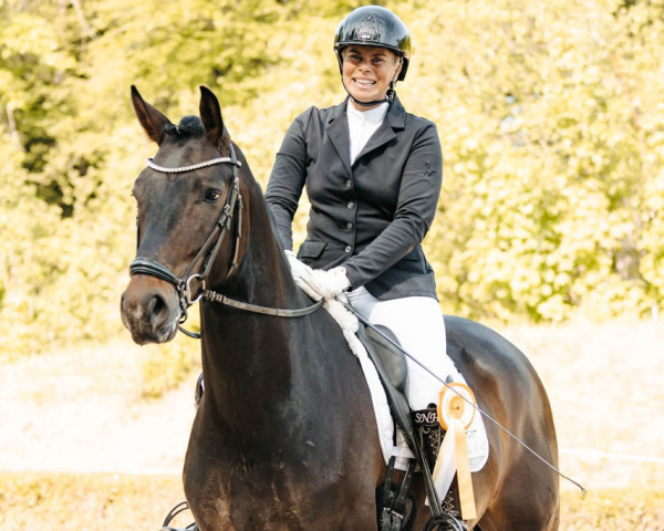 dressage horse Eistänzer EH (Oldenburg, 2019, from Escolar)